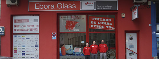 Ebora Glass